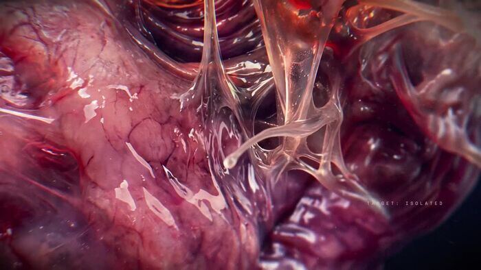 Biological complexity CGI detail